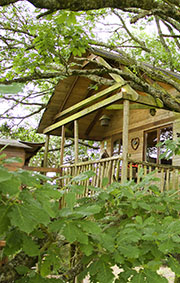 Gite la cabane aux chênes