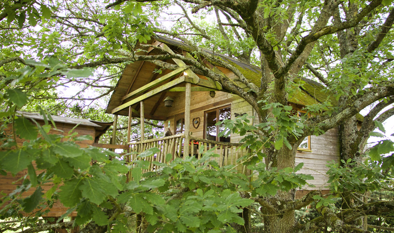 La Cabane aux chênes