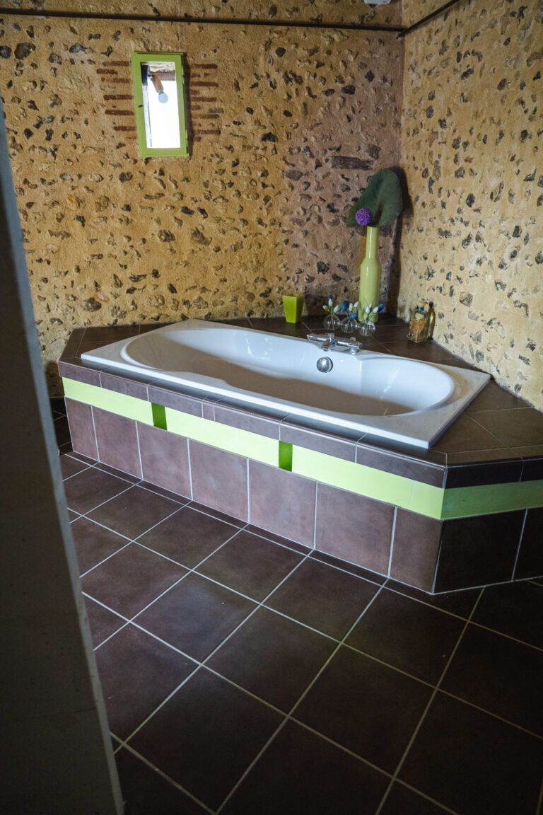 grand-maison-gite-vouvray-rdc-chambre-botanic-salle-de-bain