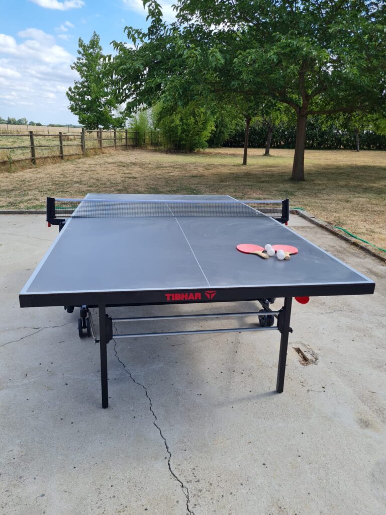 table-pingpong